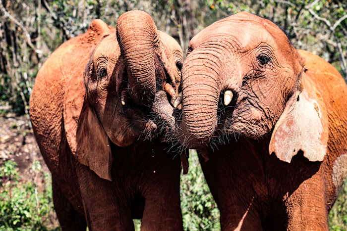 Jotto, Mapia-4 - GALLERY.jpg